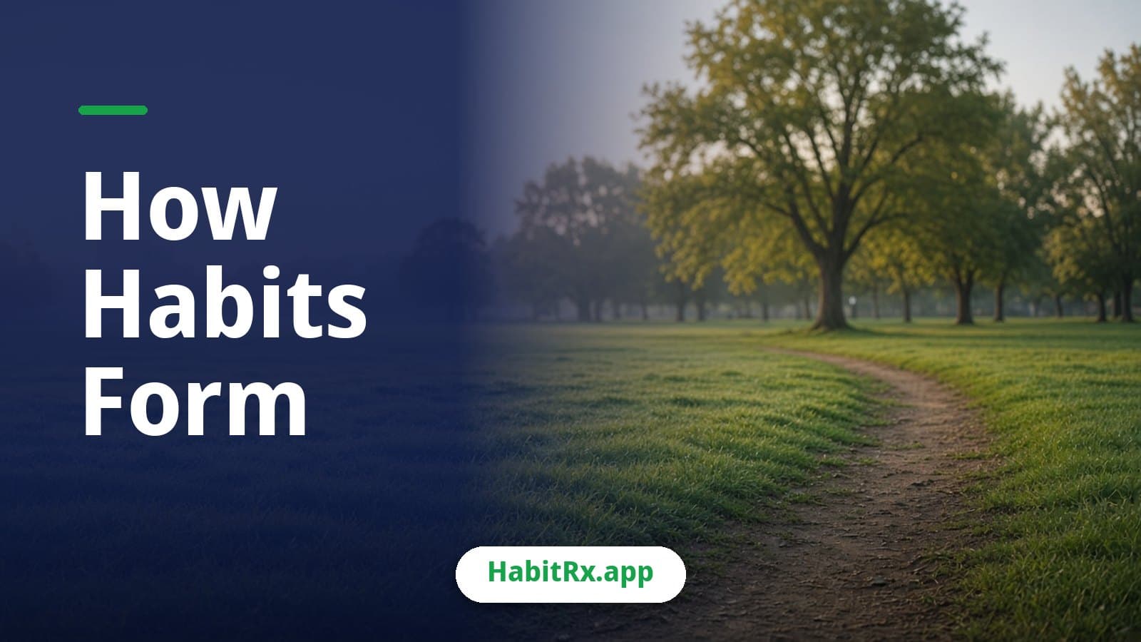 Worn footpath cutting across green grass in a park in soft morning light, a picture of how habits form